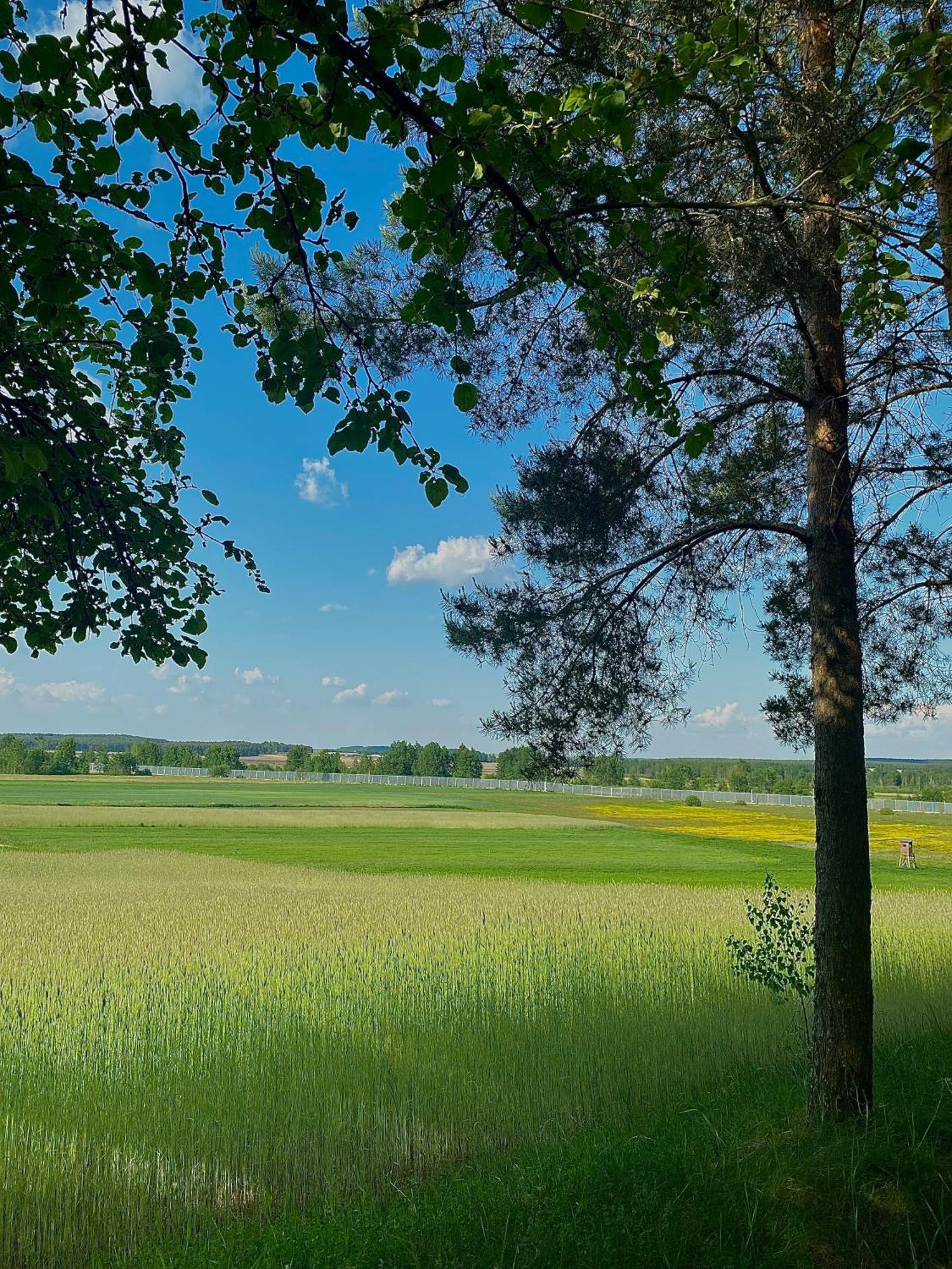 Holiday home Ozieranski Raj 